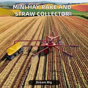 Pto Driven Hay Rake 9LD Rotary Hay Rake Tedder – Tractor-Mounted Farm Grass