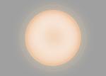 38W Modern Design LED Warm White Light Ceiling Lamp With High Color Rendering