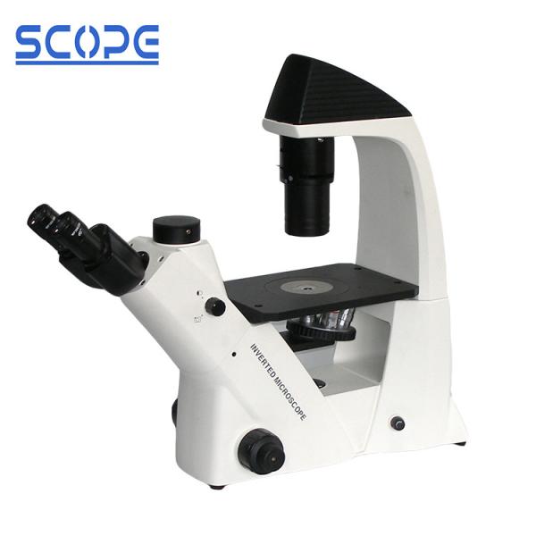 Cheap High Precision Inverted Light Microscope In Animal Cell Culture 100X - 400X for sale