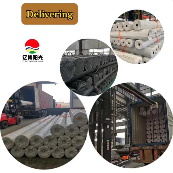 Polyethylene Geomembrane Liners for Fish Pond and Culture Tank in Black Blue or Green