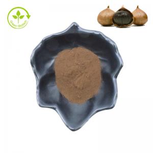 Quality Black Garlic Powder Buy Factory Health Product Organic Black Garlic Oil Extractr 10:1 Black Garlic Extract wholesale