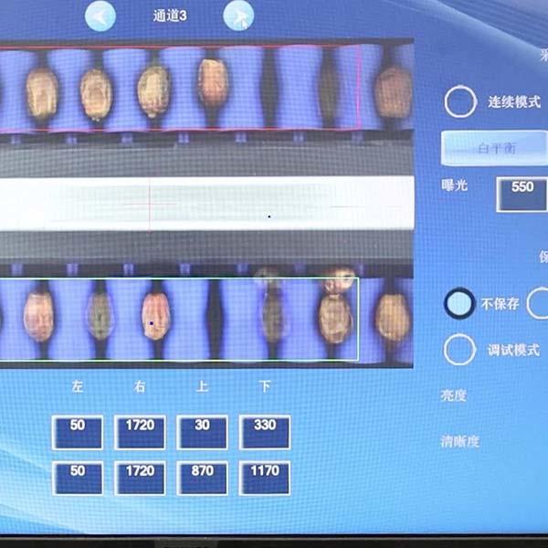 Comprehensive Defect Detection 1.4 Tons Per Hour 6-Lane Palm Dates Sorting