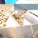 220V CE Dry Cracking Pecan Shelling Machine Connect To IR Kernel Shell Separator