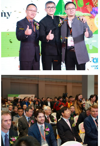 Directional Procurement for Imported & Exported Fruits in China Focused on Internatonal Trading