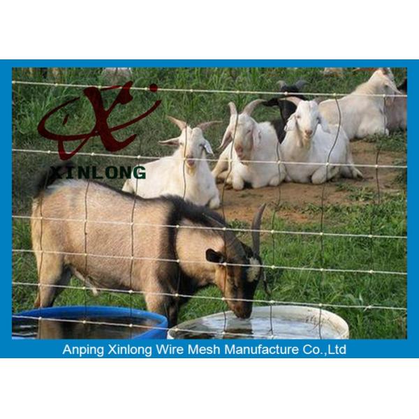 Corrosion Resistance Welded Wire Livestock Panels With ISO9001 / 2008 Certificate