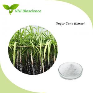 Quality Natural Sugar Cane Extract Powder 557-61-9 To Improve Stress Strength wholesale