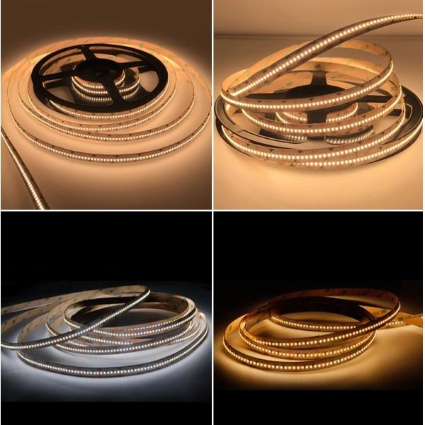 Single Color Warm White Led Strip Lights SMD 2110 24V High CRI 90 22W 10MM Width