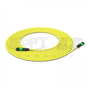 Quality 12f MPO Backbone Patch Cord SM G657A1 / A2 Ribbon Cable Bend Resistant wholesale