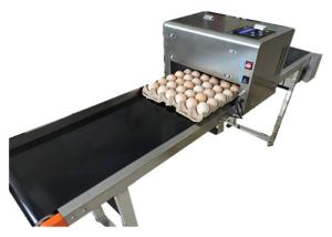Quality High tech carton coding machine eggs number inkjet printer with solvent For Egg Supplier wholesale