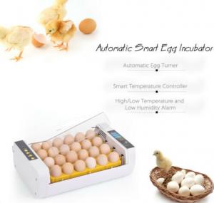 Quality PVC Material Commercial Incubators For Hatching Eggs Micro Computer Control wholesale