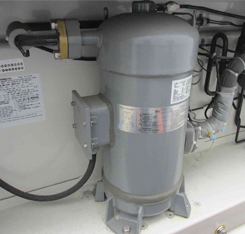 20ft 40ft Movable Refrigerator Cold Storage Room Container -30 to 30 Centigrade Inside Temperature Approval BV GL