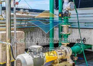 China Oil Leaching DTDC Edible Oil Extraction Plant With Main Equipment on sale