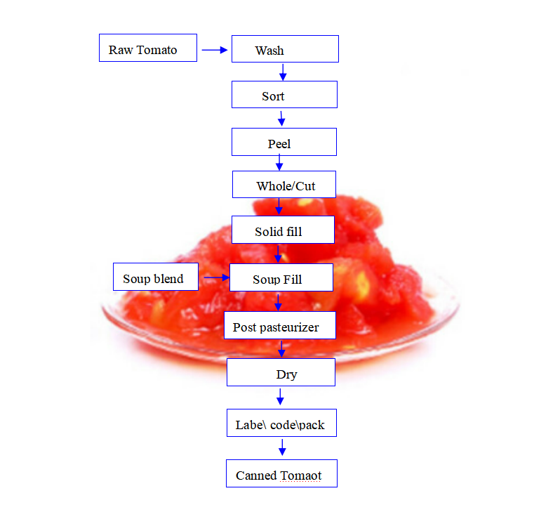 Custom 1-20 TPH Tomato Paste Making Machine For Canned Stewed Tomato
