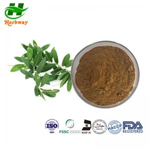 Quality Natural Olive Leaf Extract With Oleuropein 40% Hydroxytyrosol Olea Europaea Extract wholesale