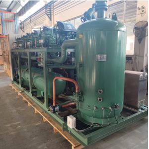 Quality Kaideli Multi-Compressor Parallel Condensing Unit | Industrial Refrigeration System wholesale