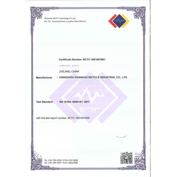 750W Electric Bike 3 Wheels Adult Fat Tire E Trike Cargo Torque 70-80 Nm Disc Brakes