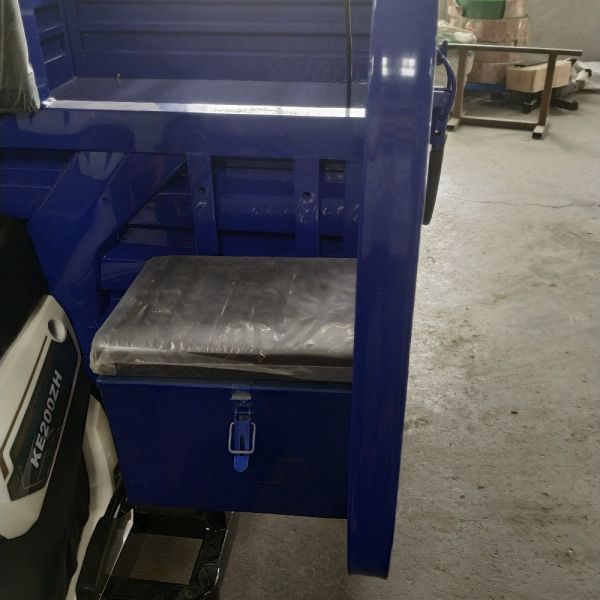 Adult Cargo 1.8m*1.3m 80km/H Tricycle Food Cart