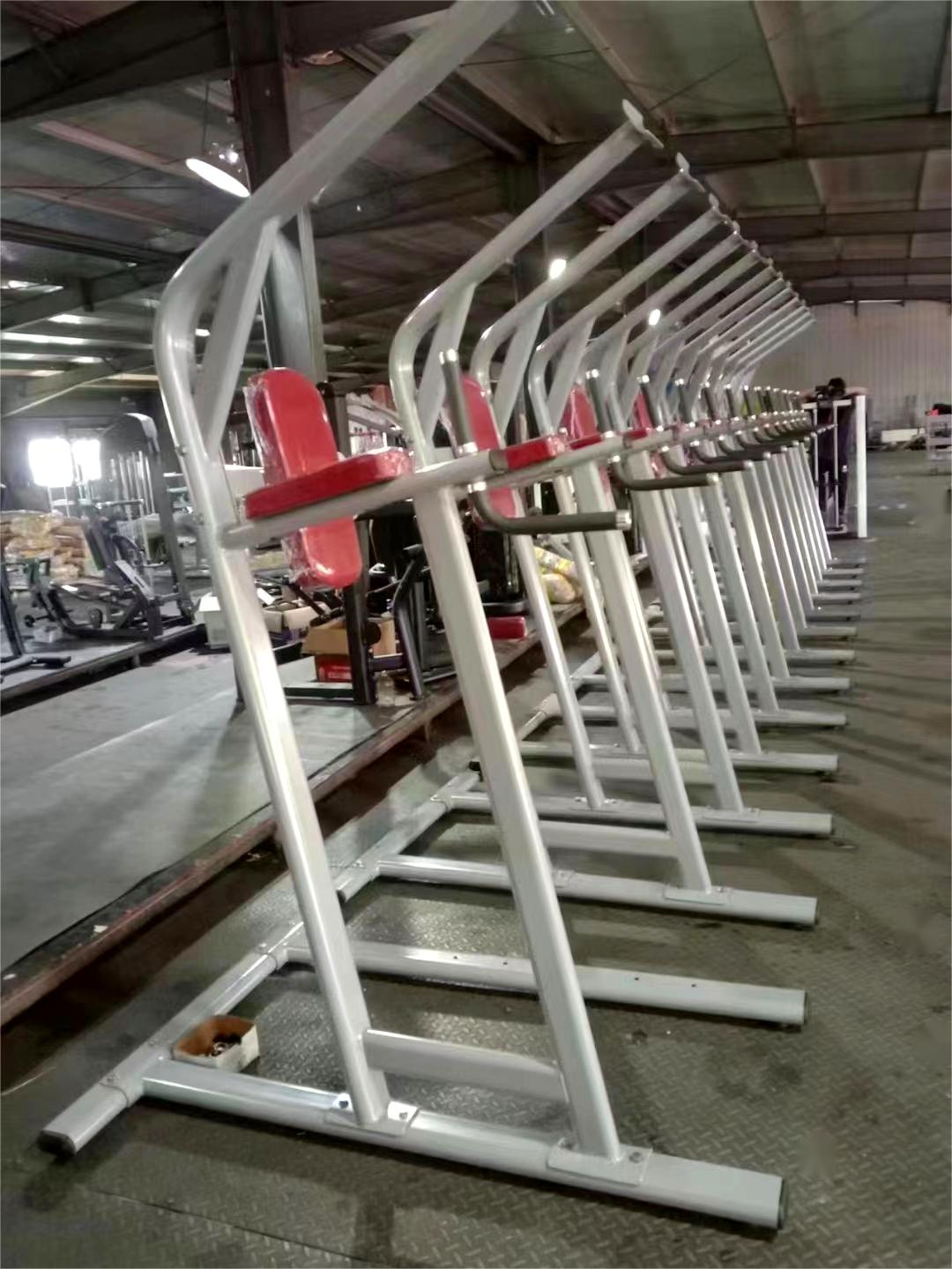 Pull Up Bar Leg Raise And Chest Shoulder Workout Chin Dip Assisted Gym