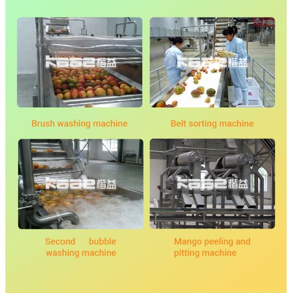 Automatic Mango Juice Production Line SS304 All Fruit Juice Making Machine