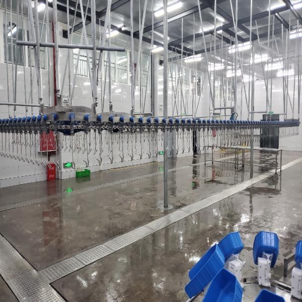 Halal Poultry Automatic Slaughtering Machine 300BPH - 10000BPH Chicken Butcher
