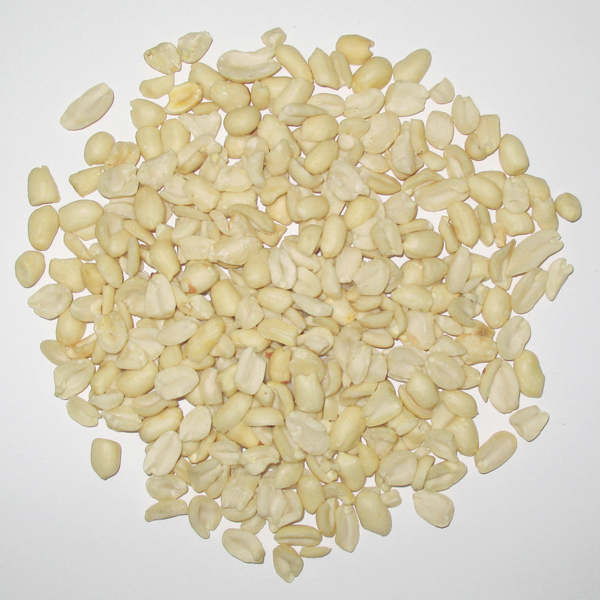 Multi-Function Coffee Bean Color Sorter High-Efficiency Optical Sorter for Nuts, Beans and Dehydrated Veggies