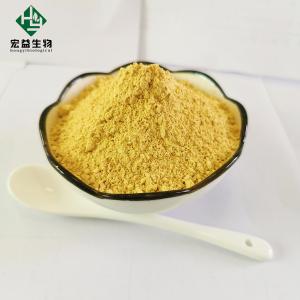 Quality Natural Herbal Extract Berberine Hydrochloride Powder Antibacterial Anti Inflammatory wholesale