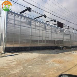 Shading System Polycarbonate Greenhouse for Growing Vegetable Fruits and Flowers