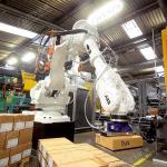 Automatic Palletizing System Line Machine Customized Robot Palletizer