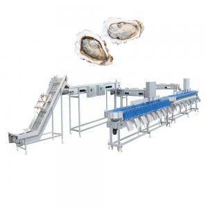 China Stable Performance Fish Processing Machine Crawfish Oyster Sorting Machine on sale