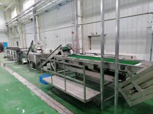 Quality 500T/D Guava Pulp Production Line 415V Guava Processing Plant For Concentrated Juice wholesale