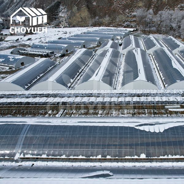 4mm Solar Greenhouse With High Rain Resistance High Light Transmission