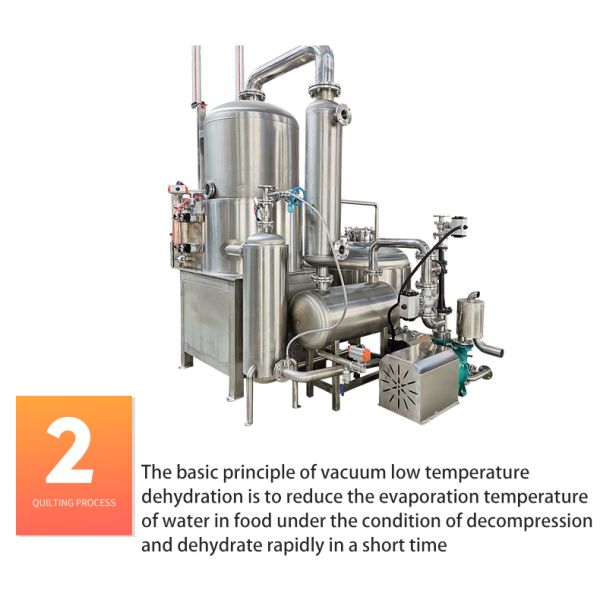 Low Temperature Vacuum Frying Machine for French Fries and Broccoli 8kg/Time Capacity