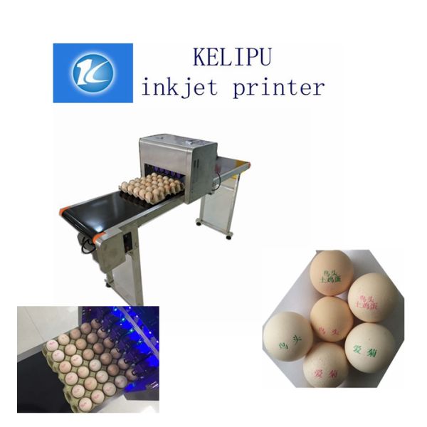 Six Nozzles At The Same Time Printing High Efficiency Eggs Ink-Jet Printing Machine