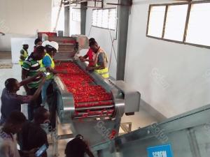 Quality One Stop automatic Tomato Processing Line With CE Certification wholesale