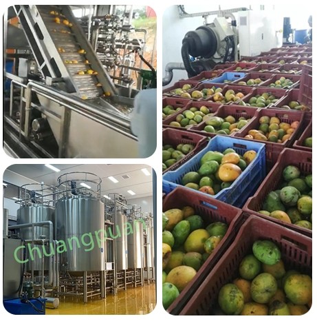 500-50000KG/H Mango Juice Processing Plant 380V 410V 20KW