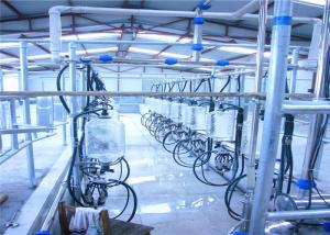Quality Large Scale Milking Parlor Equipment , Cows Parallel Milking Parlor wholesale