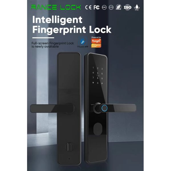 Smart Glass Door Lock with Tuya Bluetooth and Fingerprint Recognition