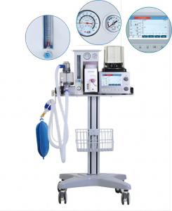 China DM6B Four Casters Veterinary Anesthesia Scavenger System 0-60L/Min on sale