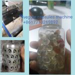 20kw Large Scale Medical Softgel Encapsulation Machine With PLC And Touch Screen