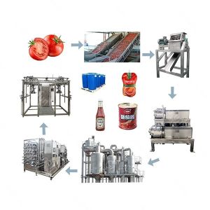 Quality Tomato Processing Line Scalable Solution for Small-to-Large Tomato Processing Needs wholesale