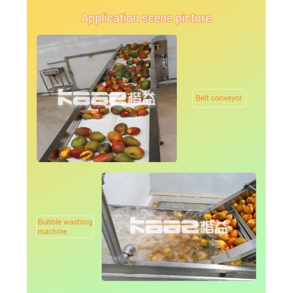 Automatic Mango Juice Production Line SS304 All Fruit Juice Making Machine