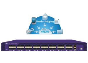 Quality NetTAP® Network Packet Broker VXLAN Header Stripping in Original Packet and Metadata wholesale