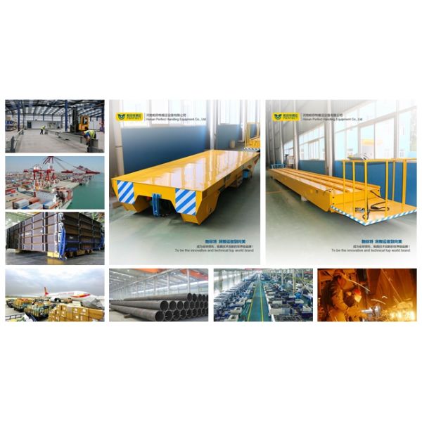 Overseas Service Automated Guided Vehicles High Frequency Timber Mill Electric Carriage