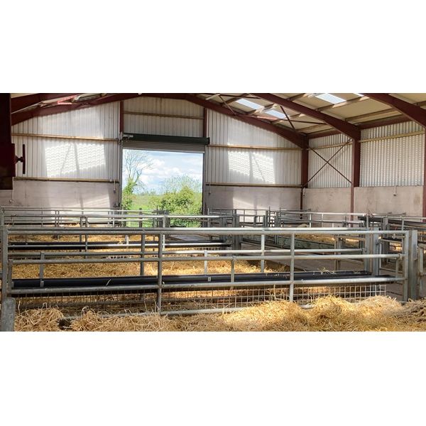 Prefabricated Barns for Cattle Horses Goats and Sheep Fast Build Steel Structure