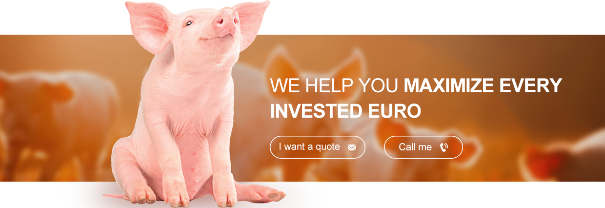 Farrowing Crate Steel Structure for Modern Farm Pig House Shed Hog Cote Winery Pigsty