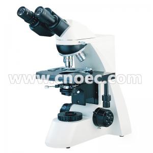 Quality Home White Binocular Head Biological Compound Microscope 1000X A12.0203 wholesale