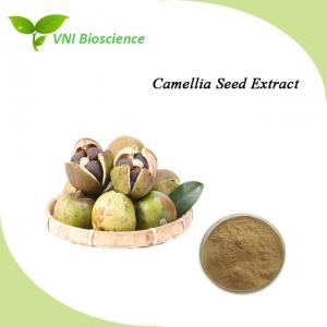 Quality OEM Camellia Seed Extract Anti Inflammatory Herbal Extraction wholesale