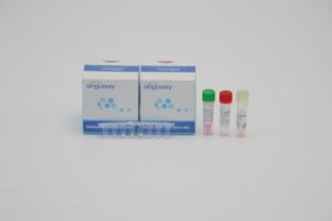 China Flu A Flu B One Step Real Time PCR Kit Highly Sensitive 96 Tests HIV PCR Test Kit on sale