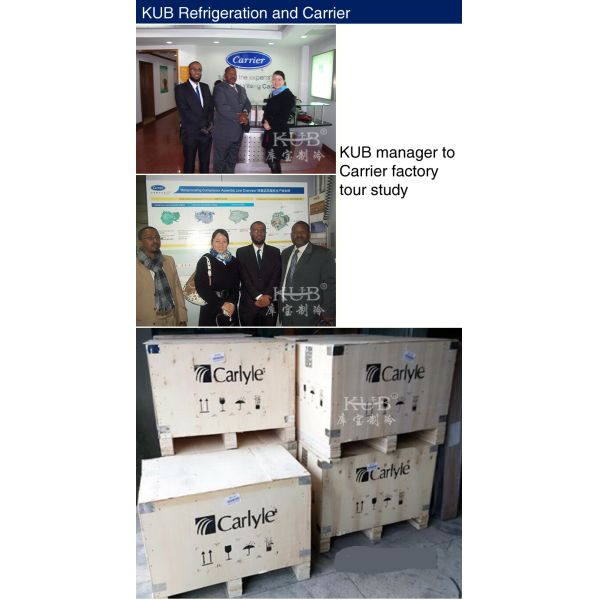 O6EA299 Oilless Cold Storage Compressor 40hp Piston Compressor