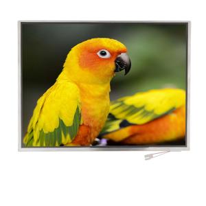 Quality 12.1 Inch TFT LCD 1024x768 Resolution LVDS Interface with Customized FPC and TP wholesale
